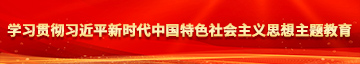 用鸡巴卄逼网站学习贯彻习近平新时代中国特色社会主义思想主题教育